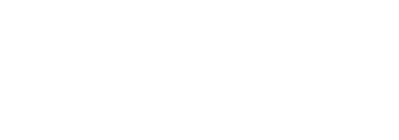 tiktok logo